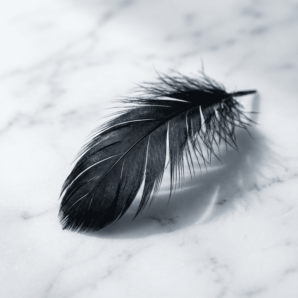 Feather